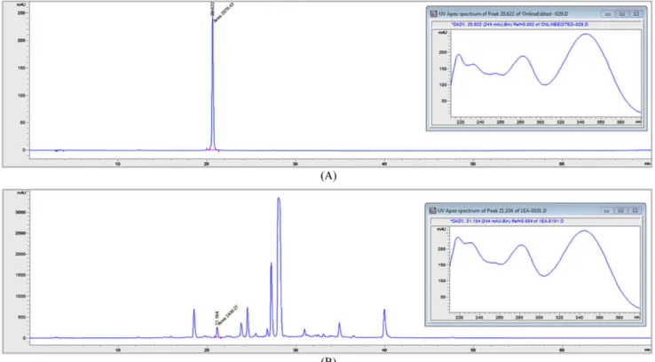 Fig. 2. HPLC chromatograms and specificity of 6-HLG  (A) and PS (B).