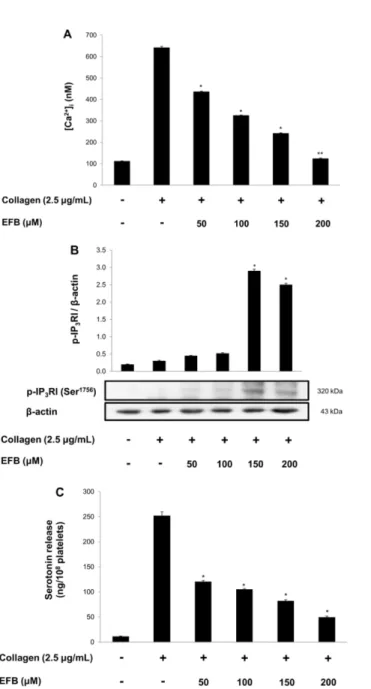 Fig.  4.  Effects  of  euchrestaflavanone  B  on  TXA 2   generation and  cPLA 2 -,  p38-phosphorylation