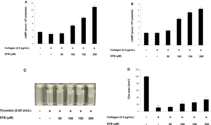 Fig. 6. Effects of euchrestaflavanone B on cyclic nucleotides and clot retraction (A) Effect of euchrestaflavanone B on cAMP pro- pro-duction