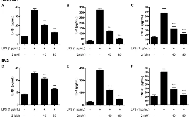Fig. 5. The effect of compound 2 on the production of pro-inflammatory cytokines in LPS-induced RAW264.7 macrophages (A-C) and  BV2  microglial  cells  (D-F)