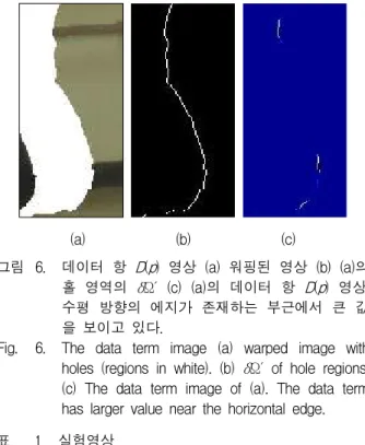 Fig. 6. The data term image (a) warped image with holes (regions in white). (b) δΩ´ of hole regions.