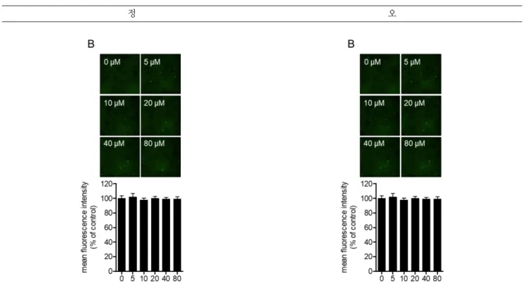 Fig. 2B. Microscopic images of AnnexinV were obtained by IncuCyte imaging system.