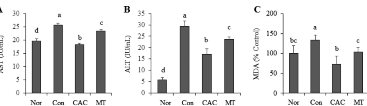 Table  I.  Effect  of  treatment  of  CAC  on  body  weight,  weight  gain,  liver  and  epididymal  fat  weight  in  HFD-induced  NAFLD Parameter ND HFD HFD  +  CAC  100 HFD  +  CAC  200 HFD  +  MT Initial  body  weight  (g) 23.98±1.83 a 23.74±0.78 a 23.8