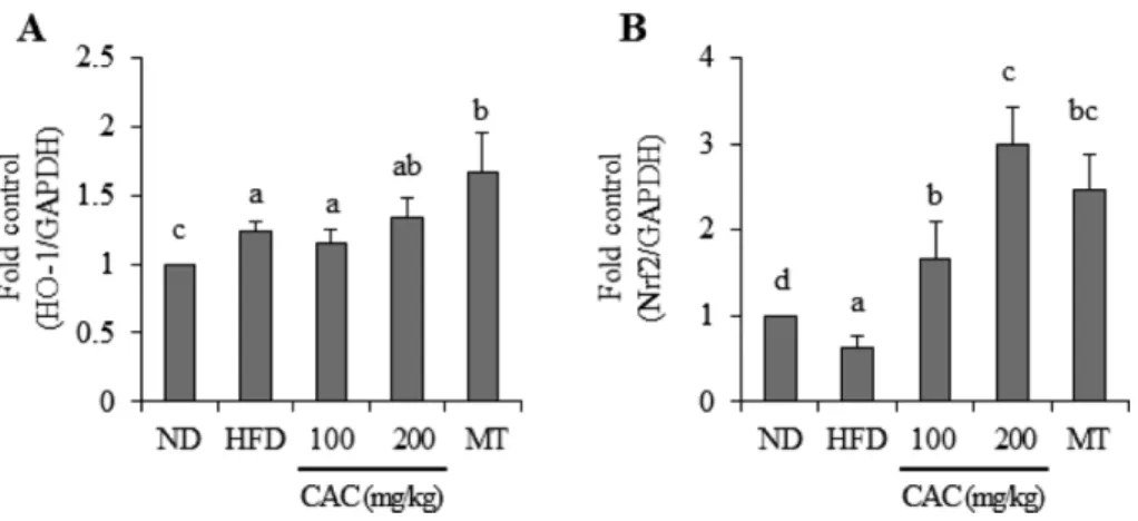 Fig.  6.  Effects  of  CAC  mixture  on  pro-inflammtory  mediators  in  HFD-induced  NFALD