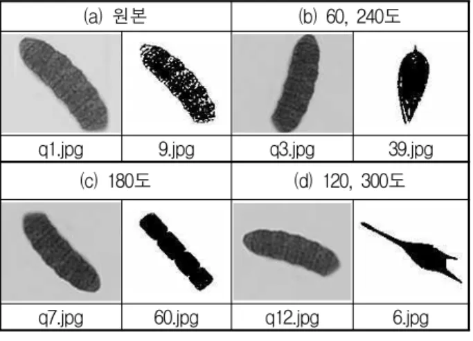 Fig. 3. Image recognition result using the semantic features with respect to transformation of image angle