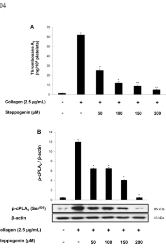 Fig.  5.  Effects  of  steppogenin  on  fibronectin  adhesion  and VASP  phosphorylation