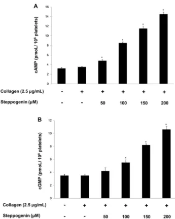 Fig. 6. Effects of steppogenin on cyclic nucleotides (A) Effect of  steppogenin  on  cAMP  production