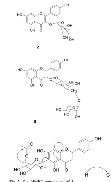 Fig.  2.  Key  HMBC  correlations  of  1.