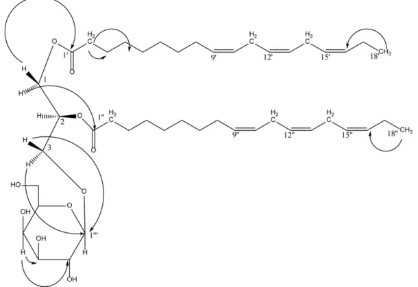 Fig.  2.  Selected  HMBC  correlation  of  compound  1.