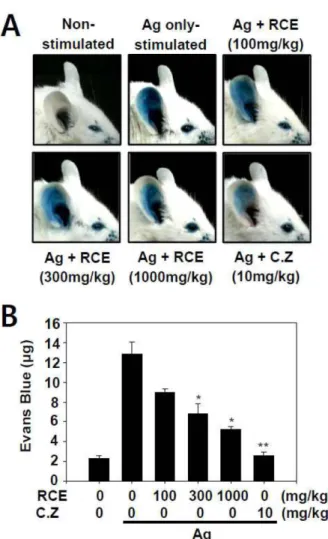 Fig. 5. Effect of RCE on IgE-mediated passive cutaneous ana- ana-phylaxis  The  DNP-specific  IgE  (50 ng)  was  intradermally injected into mouse ear (n = 5)
