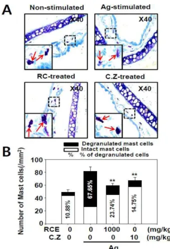 Fig.  6.  Effect  of  RCE  on  the  degranulation  of  mast  cells  in ear  tissue.  PCA  experiments  were  performed  as  for  Fig