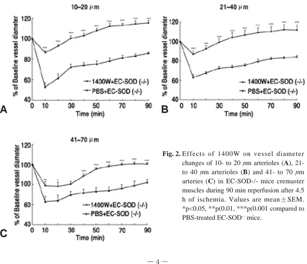 Fig. 1. Systemic effect of 1400W administration to EC-SOD -/- mice. Changes in mean arterial blood pressure (MAP;