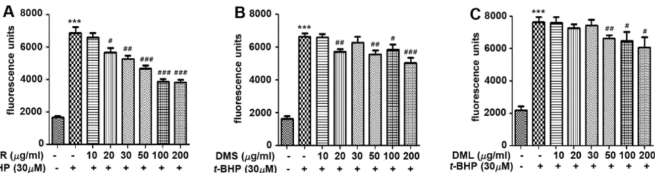 Fig. 3. Effects of Dendropanax morbifera root extracts on COX-2 mRNA expression after lipopolysaccaride (LPS)  treat-ment