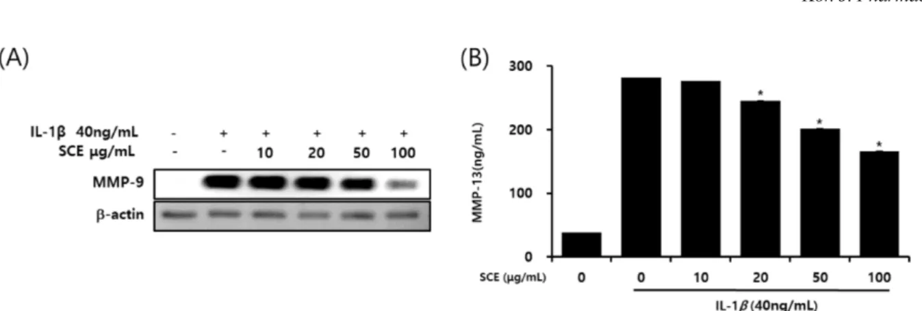 Fig. 4. Effect of SCE on the NF-κB pathway in IL-1β stimulated SW1353 cells. (A) Cells were treated with SCE (10, 20, 50 and 100 µg/mL) for 1hr before IL-1β treatment (40 ng/mL) for 1 hr