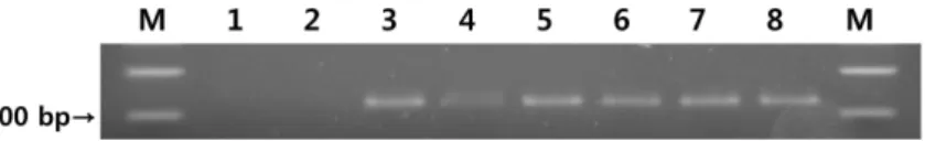 Table VIII. Real-time PCR result(C T ,  ΔC T ) for five samples detected in conventional-PCR