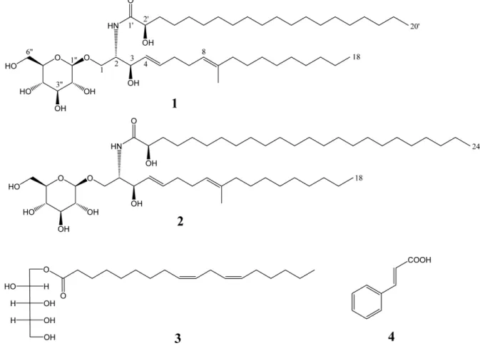 Fig. 1. Chemical structures of compounds 1-4.