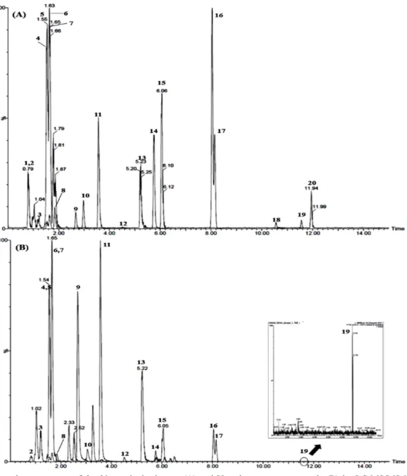Fig. 2. Total ion chromatograms of the 20 standard mixtures (A) and Yongdamsagan-tang sample (B) by LC-MS/MS MRM mode.