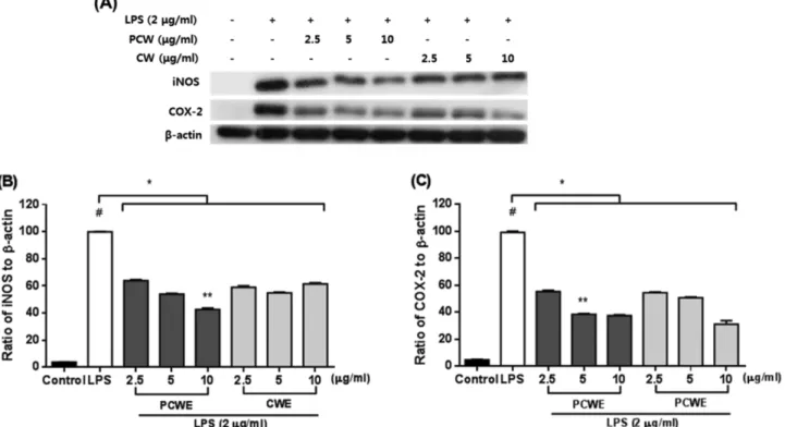 Fig. 3. Effects of clam worm extracts treated with (PCWE) or without (CWE) peptidoglycan on iNOS and COX-2 protein expres- expres-sion in LPS-stimulated RAW264.7 macrophages