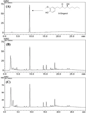 Fig. 4. Typical HPLC chromatograms of a reference standard compound, 6-gingerol, (A), 70% ethanol extract of  non-pro-cessed Zingiberis Rhizoma (B), and 70% ethanol extract of processed Zingiberis Rhizoma (C) at 280 nm.