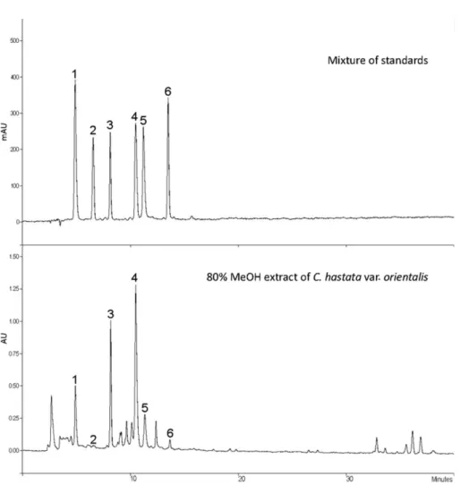 Table II. Content of compounds in the 80% MeOH extract and dried plant materials of C