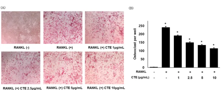 Fig. 2. Effect of CTE on RANKL-induced osteoclast differentiation in RAW 264.7 cells. (A) RAW 264.7 cells were treated with CTE (1, 2.5, 5 and 10 µg/mL) followed by RANKL (50 ng/mL) stimulation for 5 days and then stained for TRAP