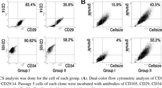 Fig. 3. FACS analysis was done for the cell of each group. (A). Dual-color flow cytometric analysis of CD105/CD34 and CD29/14