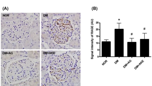 Fig. 4. Effect of AKE on urinary CMLs and plasma CMLs in STZ-diabetic rats. Groups: normal rats (NOR), STZ-treated diabetic rats (DM), AG-treated diabetic rats (DM+AG) and AKE-treated diabetic rats (DM+AKE)