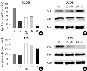 Fig. 3. TRO induced G1 cell cycle arrest and increase of apop- apop-tosis in the HOS cells