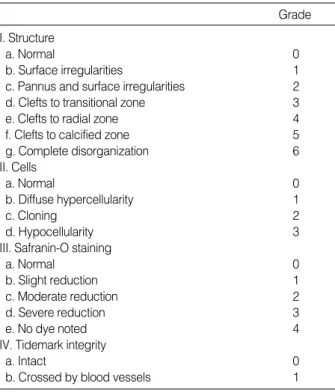 Fig. 2. Schematic representation of the typical histology speci- speci-men shown on the image analysis monitor