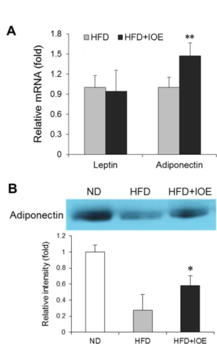 Fig. 2. Effect of IOE treatment on (A) adipokine expression in epididymal adipose tissue and (B) serum adiponectin level