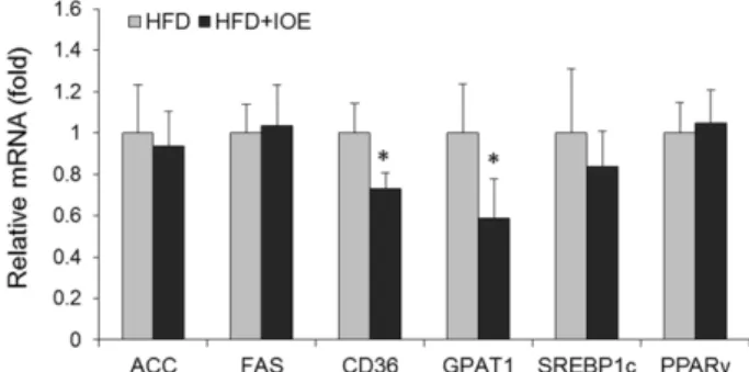 Fig. 4. Effect of IOE treatment on expression of lipogenic genes in epididymal adipose tissue of HFD-fed mice