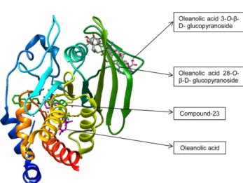 Fig. 3. Molecular docking models of the PTP1B inhibition of compound 23, oleanolic acid, oleanolic acid  28-O-β-D-gluco-pyranoside, and oleanolic acid 3-O-β-D-glucopyranoside.