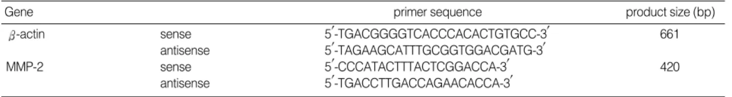 Fig. 2. Findings of hisotlogical studies. (A) H-E staining of the normal tendon tissue (group A) (H-E stain, ×100)