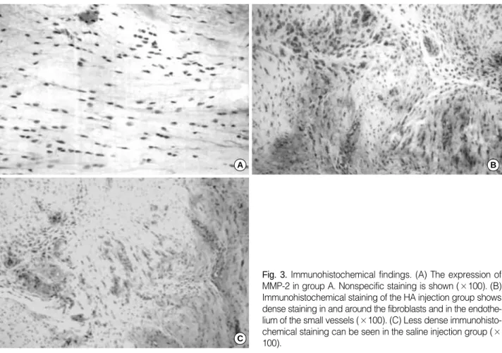 Fig. 3. Immunohistochemical findings. (A) The expression of MMP-2 in group A. Nonspecific staining is shown ( ×100)