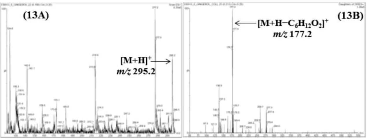 Table IV. Linear range, regression equation, correlation coefficients, LOD, and LOQ for 13 marker compounds Analyte Linear range