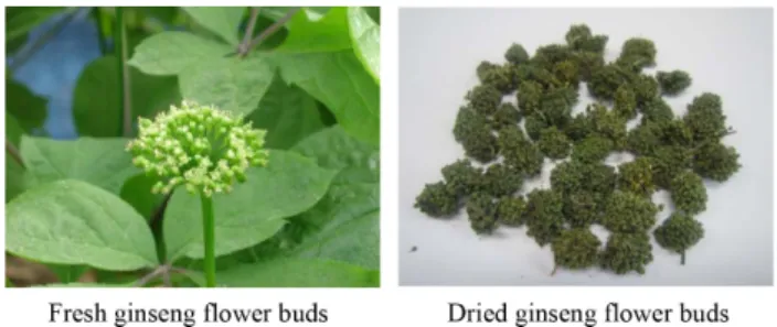 Fig. 2. HPLC chromatogram of ginsenosides in the ginseng flower buds extracts processed with ultrasonication.