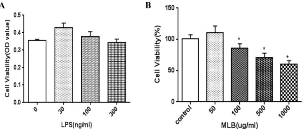 Fig. 1. LPS induced cell toxicity (A) and effect of MLB (B) in PDL cells. PDL cells were seeded in triplicates in 96 well plate at 5×10 4  cells/well