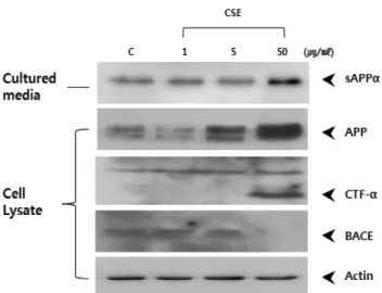 Fig. 5. Effects of CSE on the BACE-1 activity. BACE-1 FRET assay shown that BACE activity was specifically decreased in the presence of CSE
