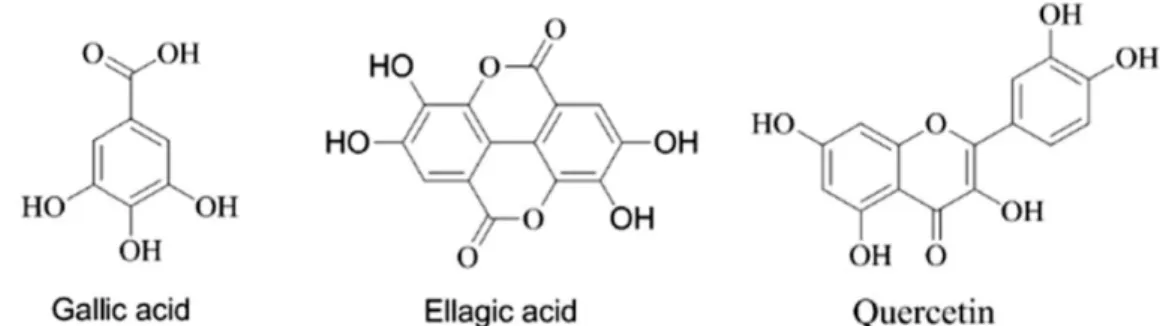 Fig. 1. Chemical structures of the three marker compounds of Sanguisorbae Radix.