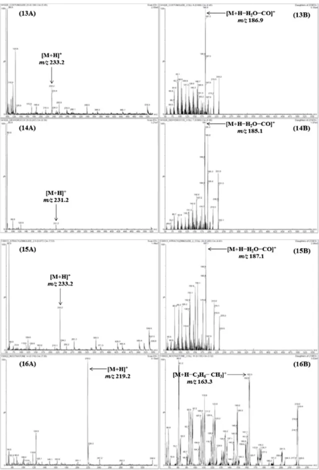 Fig. 2. Continued.