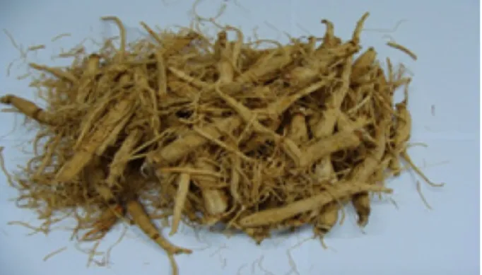 Table I. Ginsenoside contents in Skin White ginseng extracted under various conditions (%,w/w)