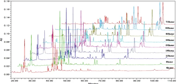 Fig. 2. HPLC chromatogram of ginsenosides detected from the processed Skin White ginseng.