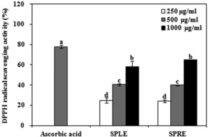 Fig. 2. Effect of ethanol extracts of Salvia plebeia R. leaf (SPLE) or root (SPRE) on ABTS radical scavenging activity.