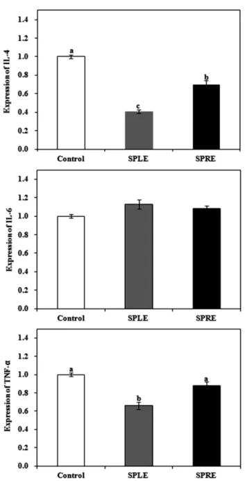 Fig. 5. Effect of ethanol extracts of Salvia plebeia R. leaf (SPLE) or root (SPRE) on mRNA expression of the IL-4, IL-6 and TNF- α