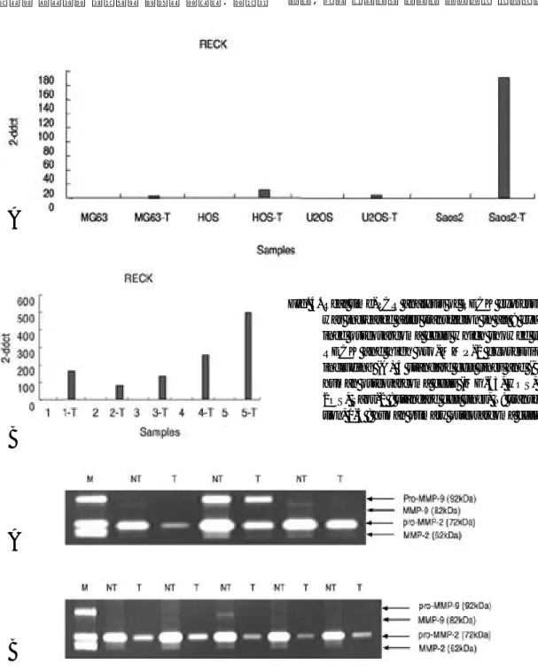 Fig. 4. Real time-PCR analysis of RECK expression was increased after transfecion in all 9  exam-ined osteosarcoma cells which showed low RECK and high pro-MMP-2 expression, including (A) 4 standard cell lines and (B)5 human osteosarcoma cells (MG-63, HOS,