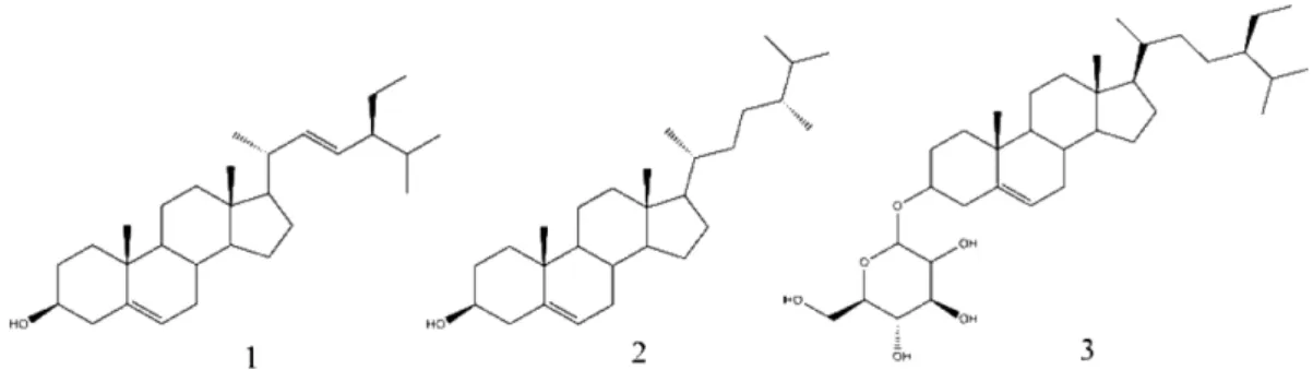 Fig. 2. The neuroprotective effects of Artemisia apiacea frac- frac-tions (A), compound 1, 2 and 3 (B) on glutamate-induced cytotoxicity in HT22 cells