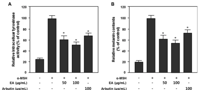 Fig. 4. Inhibitory effects of EA fraction from D. lotus leaves on protein expression associated with  α-MSH-induced  melan-ogenesis in B 16 cells
