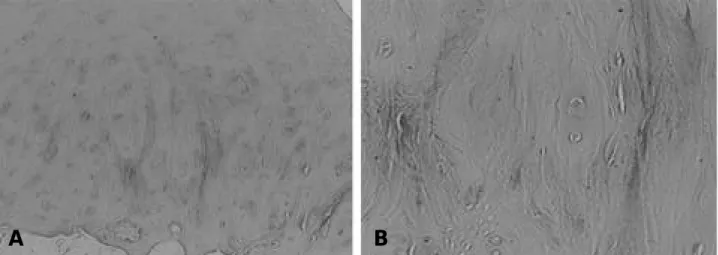 Table 2. Immunohistochemical Staining for Type II collagen Degree of staining compare with  No