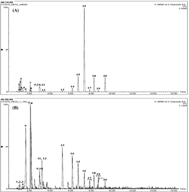 Fig. 2. Chromatogram of reference compounds 1–20(A) and Gwakhyangjeonggi-san extract(B) by LC-MS/MS MRM mode.