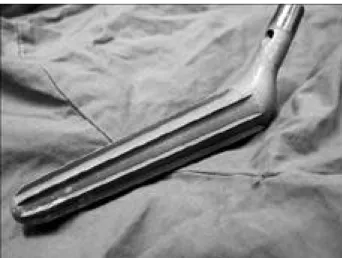 Fig. 1. Photograph showing a Conical stem(Protek AG Ⓡ , Berne, Switzerland) used in this study.
